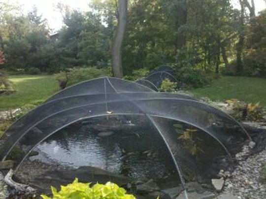 Pond & Water Feature Cleaning contractors